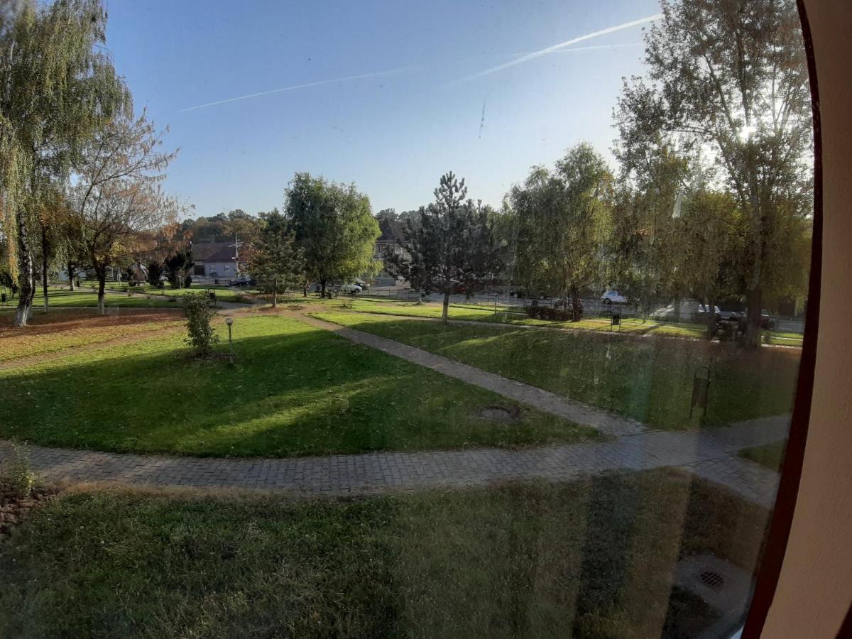 Apartament Andrei Băile Felix Екстериор снимка